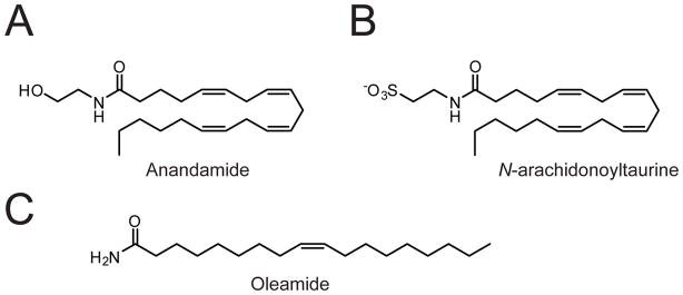 Fig. 14