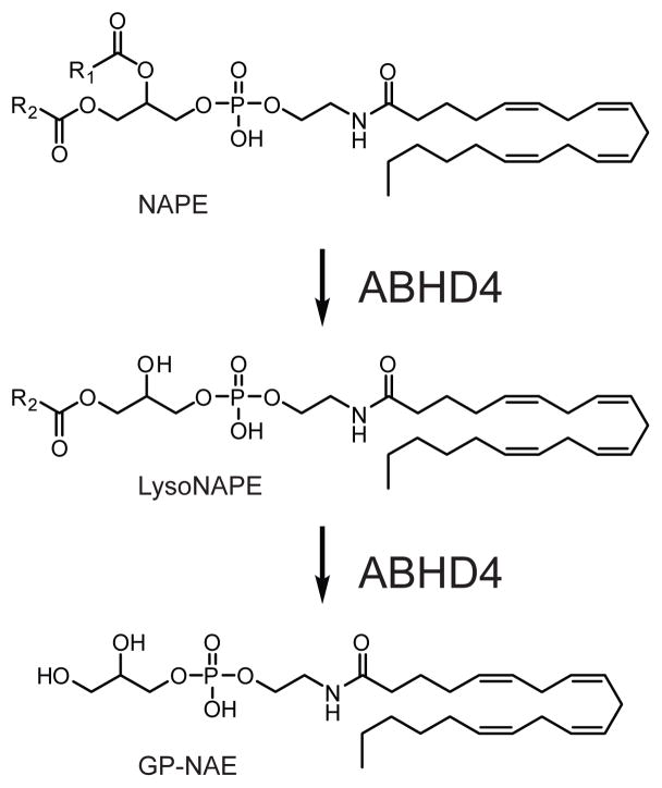 Fig. 13