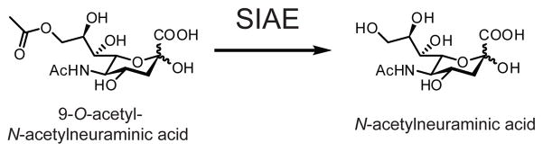 Fig. 31