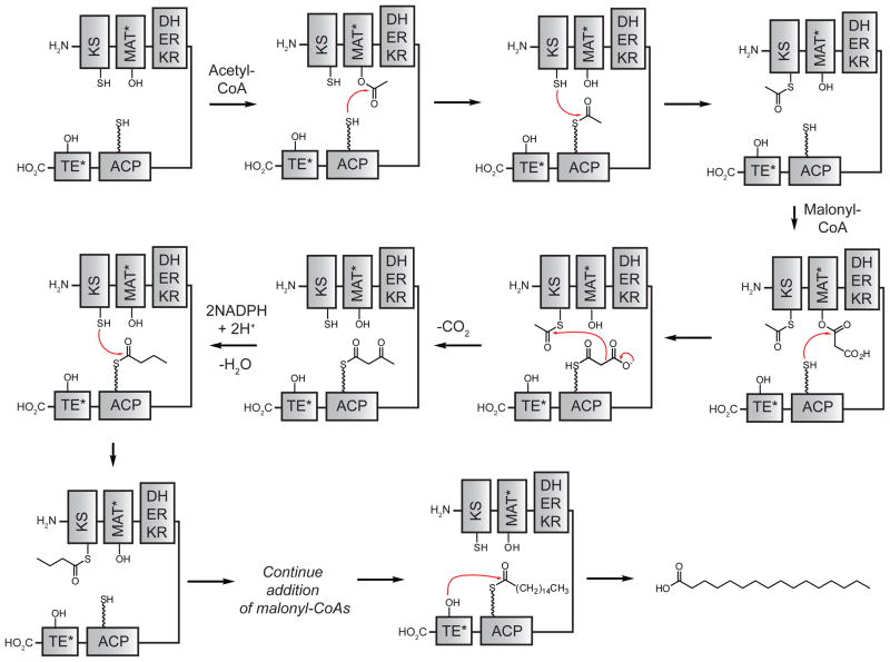 Fig. 17