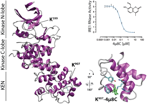 Fig. P1.