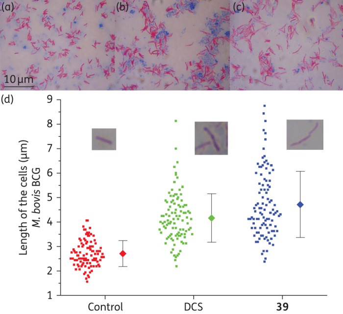 Figure 4.