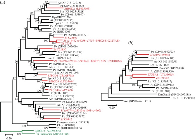 Figure 4.