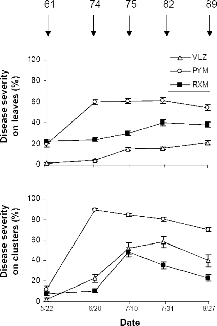 FIG. 1.