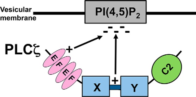 FIGURE 11.