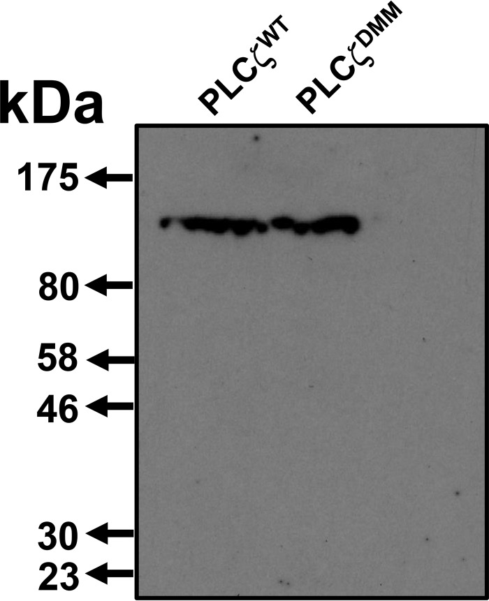 FIGURE 9.