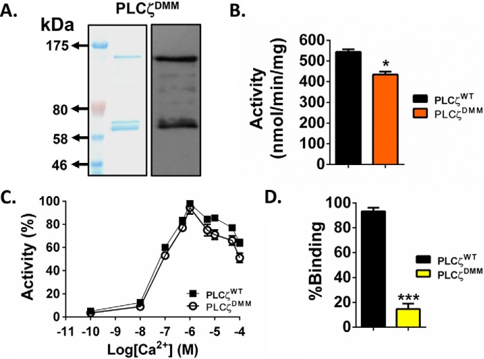 FIGURE 10.