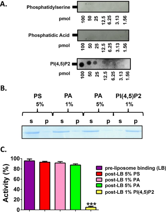 FIGURE 5.