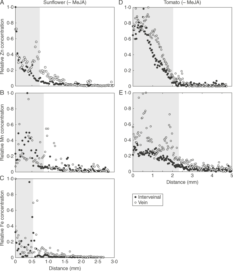 Fig. 7.