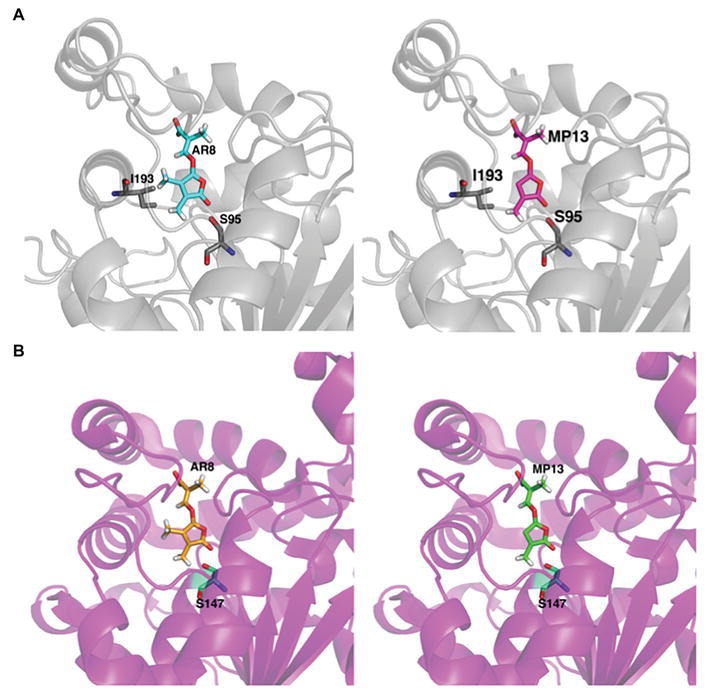 Figure 7