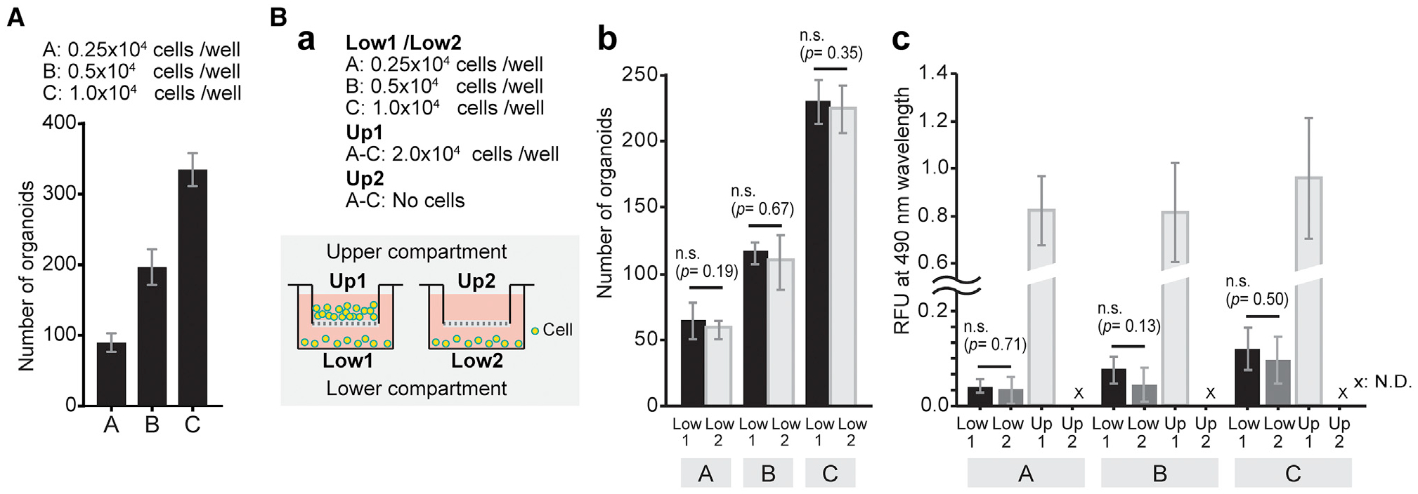 Figure 7.