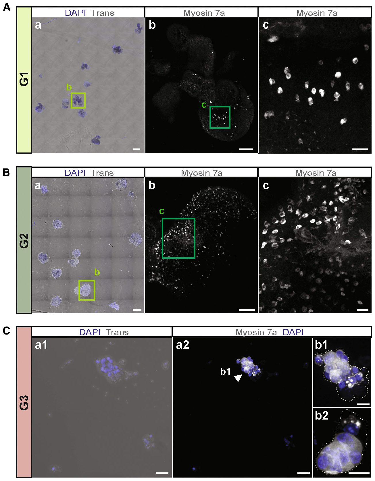 Figure 4.