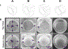 Fig. 5.