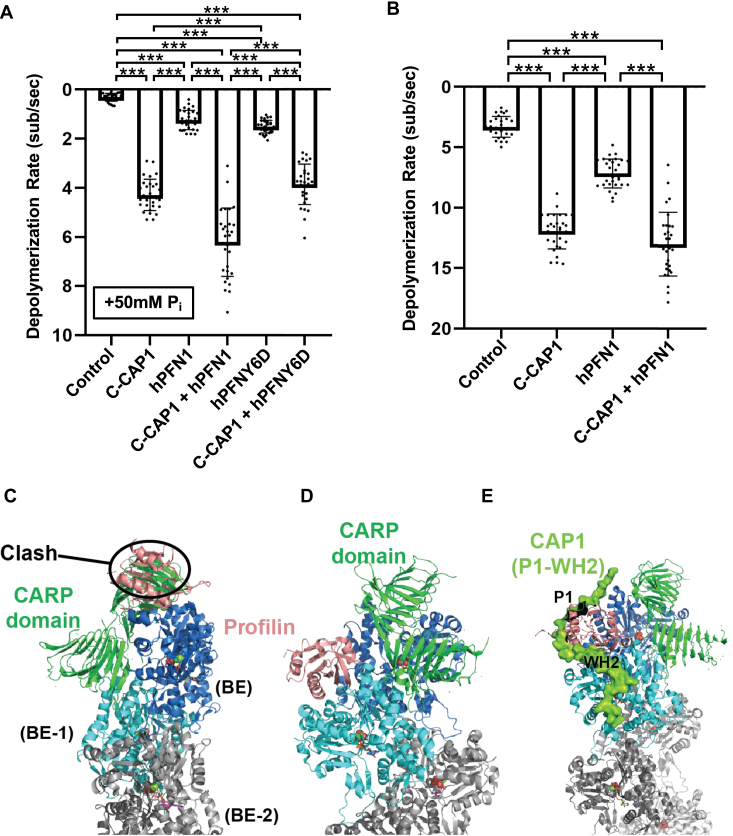 Figure 4