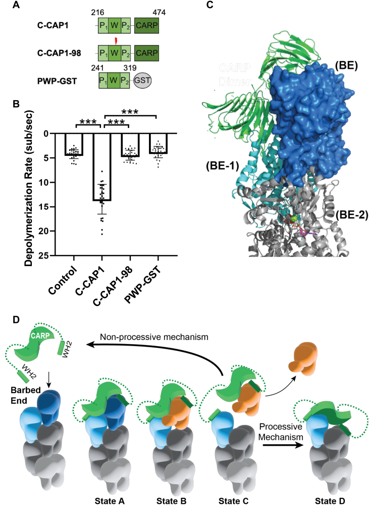 Figure 3