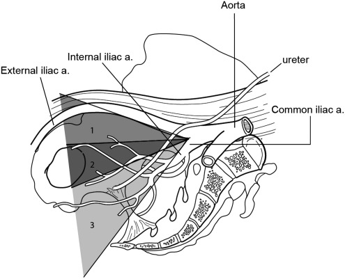 FIG. 1.