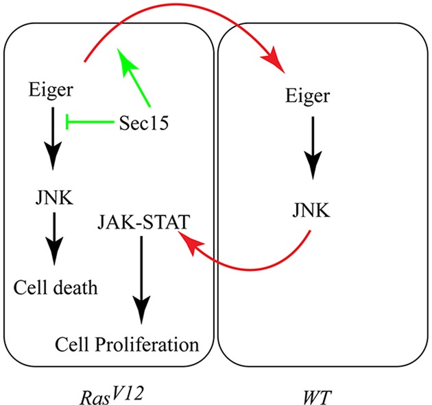 Fig. 8.