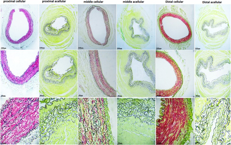 FIG. 6.