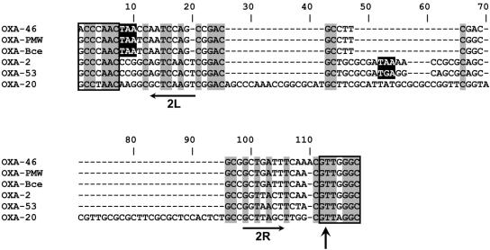 FIG. 4.