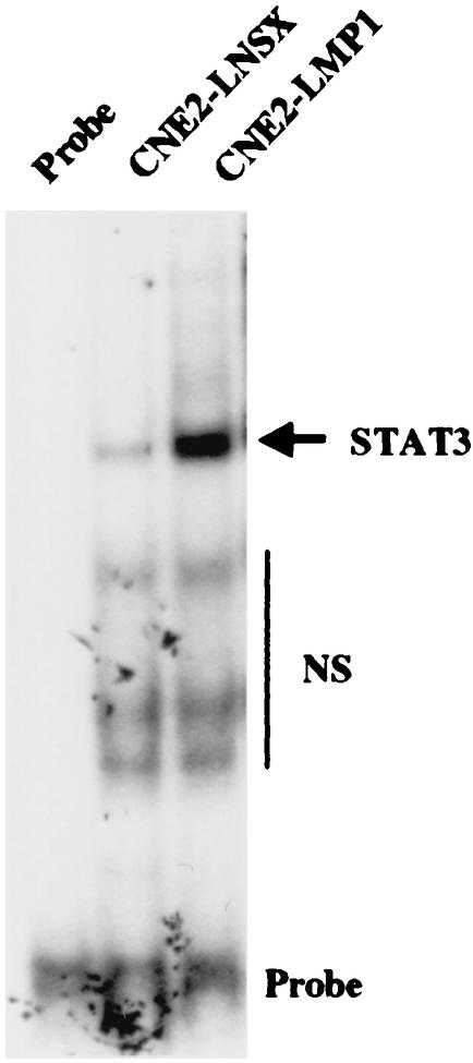 FIG. 7.