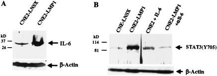 FIG. 9.