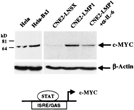 FIG. 10.