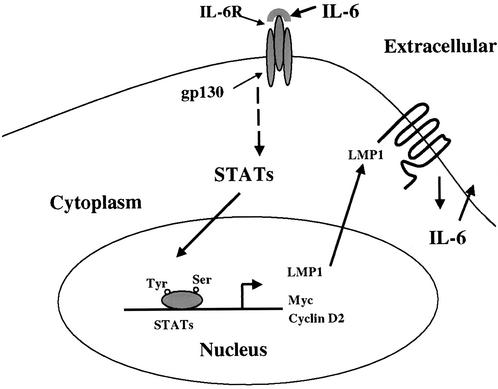 FIG. 1.