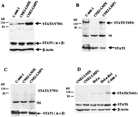 FIG. 5.