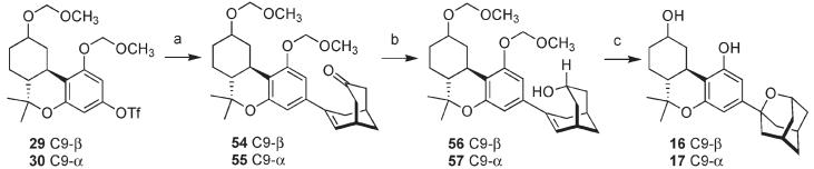 Scheme 5