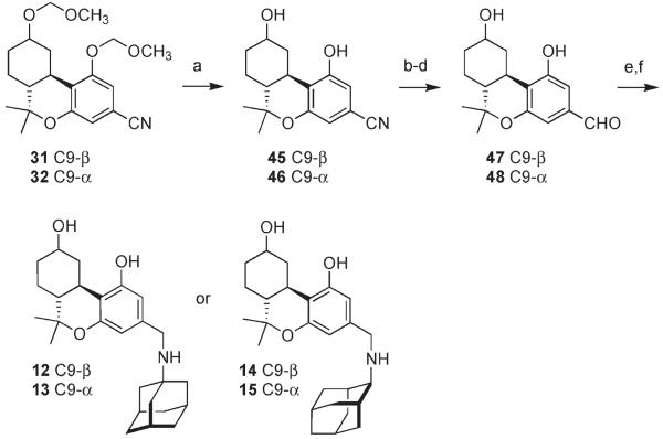 Scheme 3