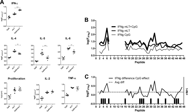 FIG 3