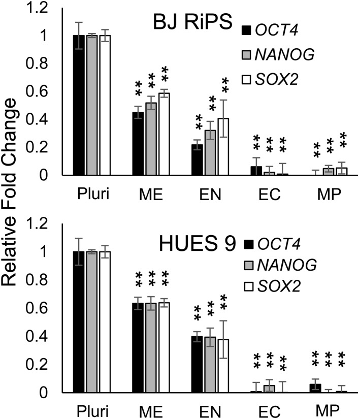 Figure 3—figure supplement 4.