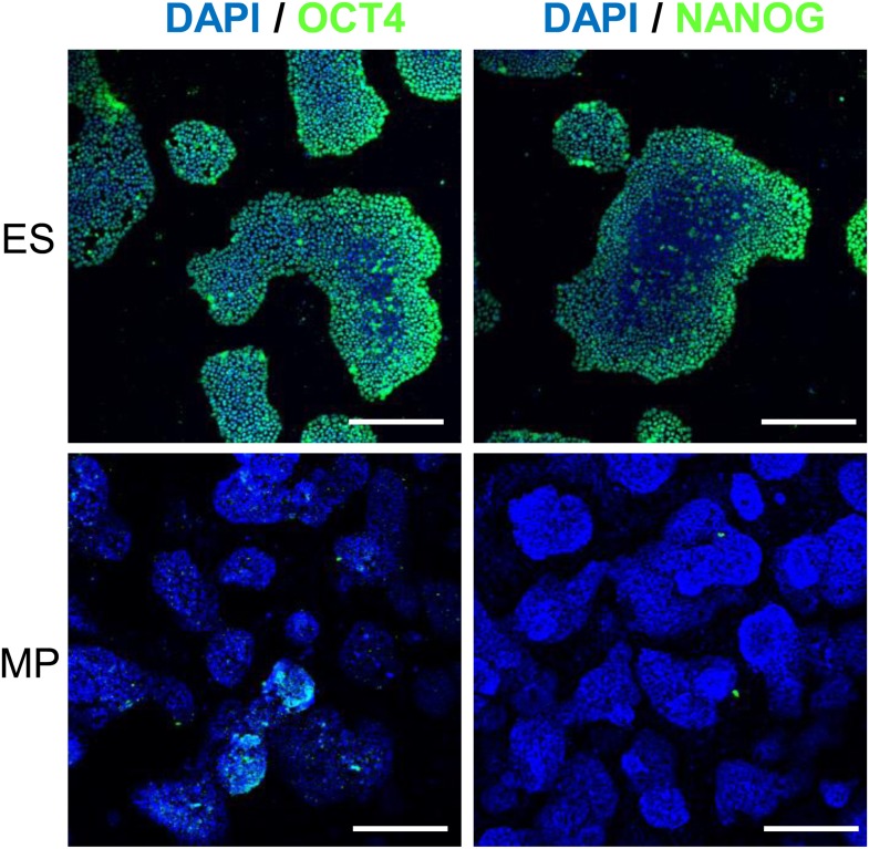 Figure 3—figure supplement 5.