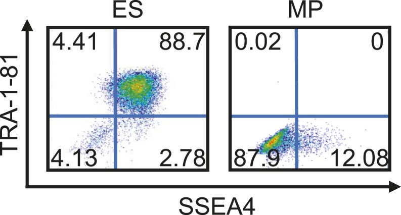 Figure 3—figure supplement 6.