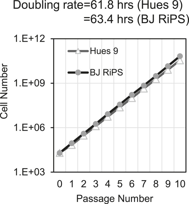 Figure 3—figure supplement 1.