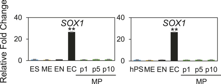 Figure 3—figure supplement 10.