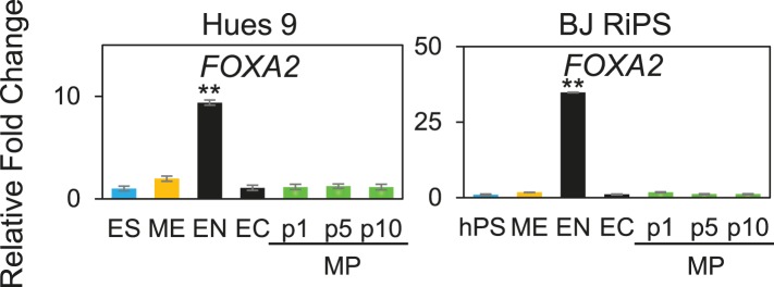 Figure 3—figure supplement 9.