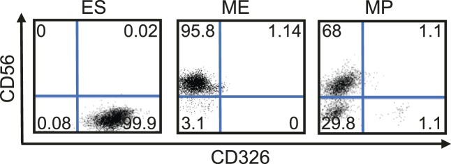 Figure 3—figure supplement 8.