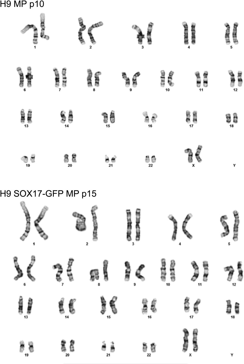 Figure 3—figure supplement 3.