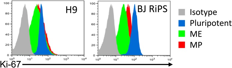 Figure 3—figure supplement 2.