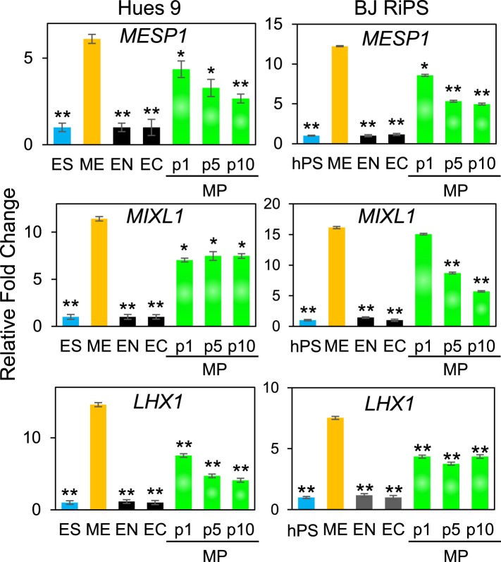 Figure 3—figure supplement 7.