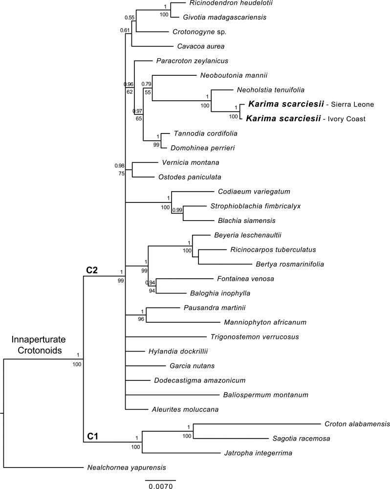 Fig 2