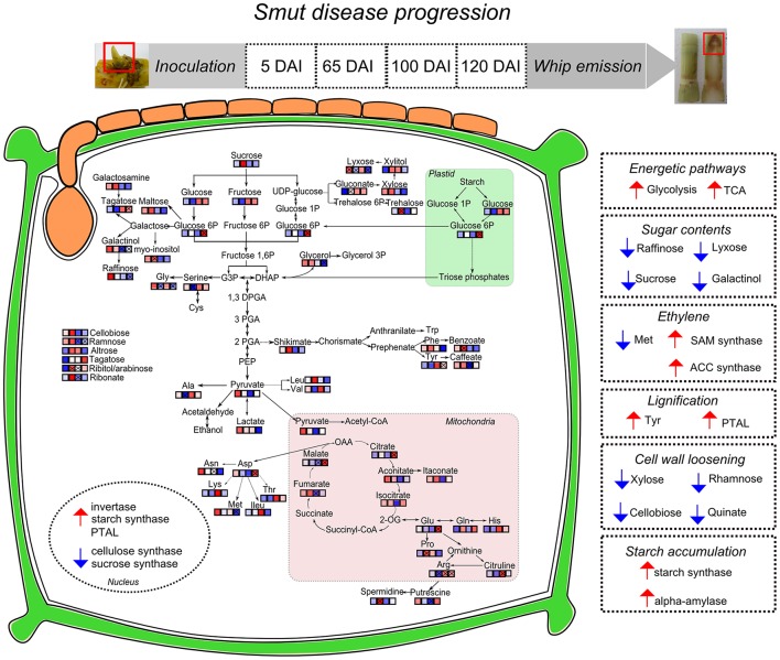 Figure 10