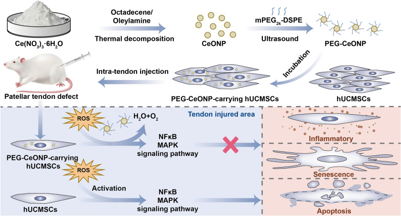 graphic file with name 12951_2023_2125_Figa_HTML.jpg