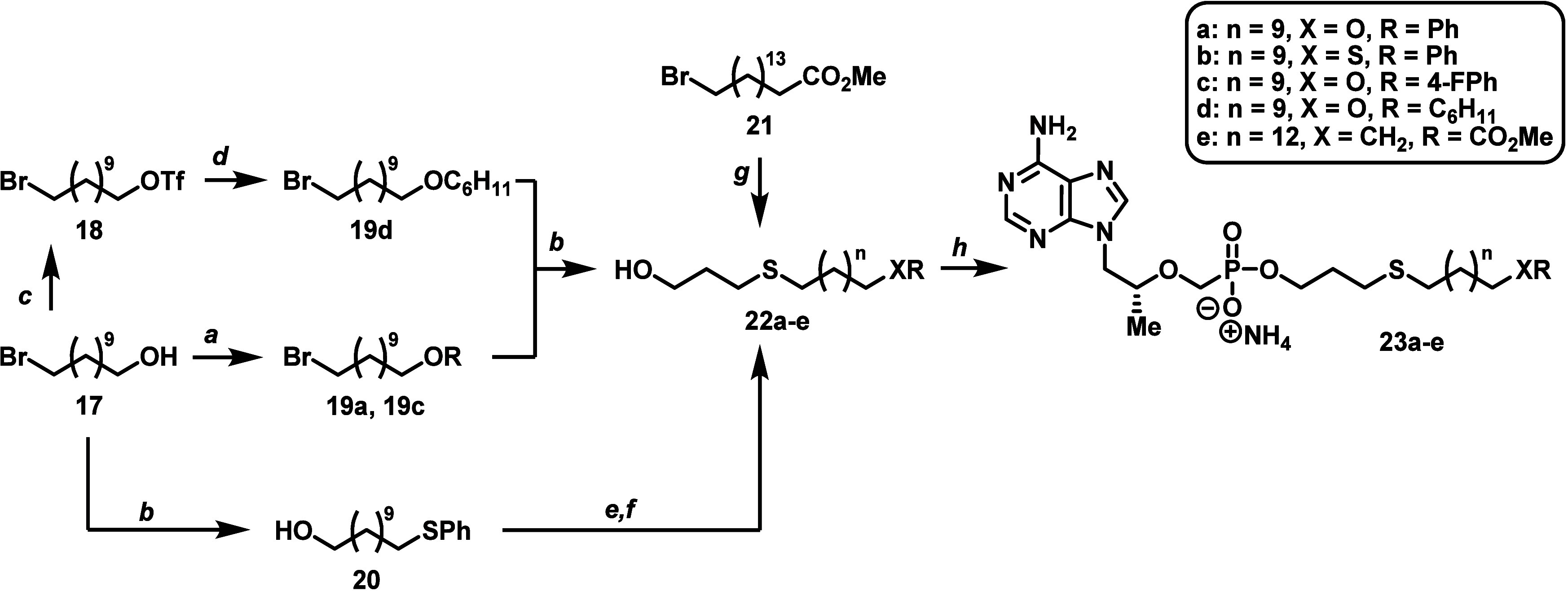 Scheme 3