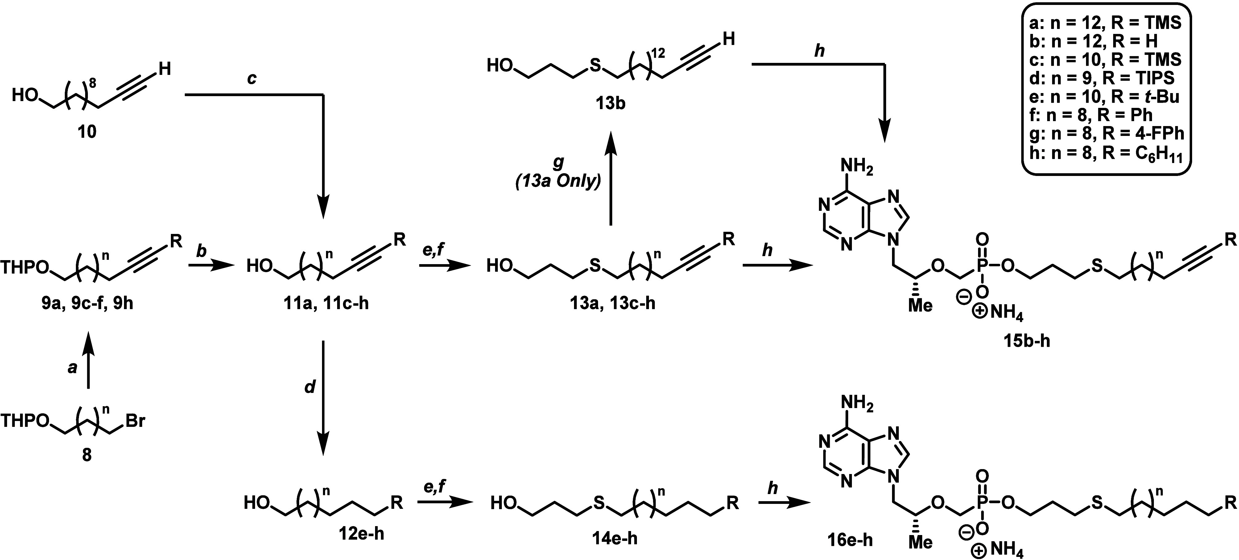 Scheme 2