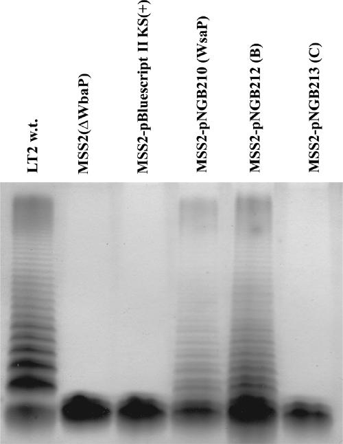 FIG. 6.