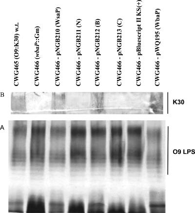 FIG. 5.