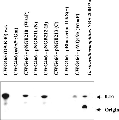 FIG. 7.