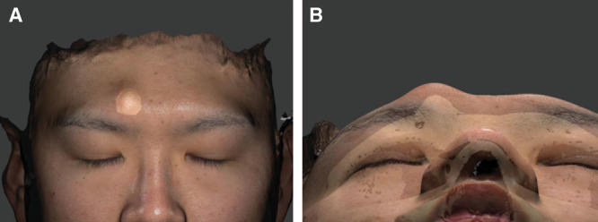 Fig. 7.